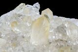 Quartz Crystal Cluster - Brazil #93041-2